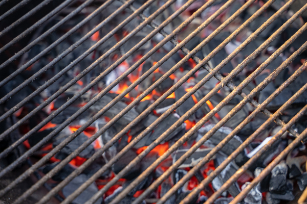 grill-4110515_1920